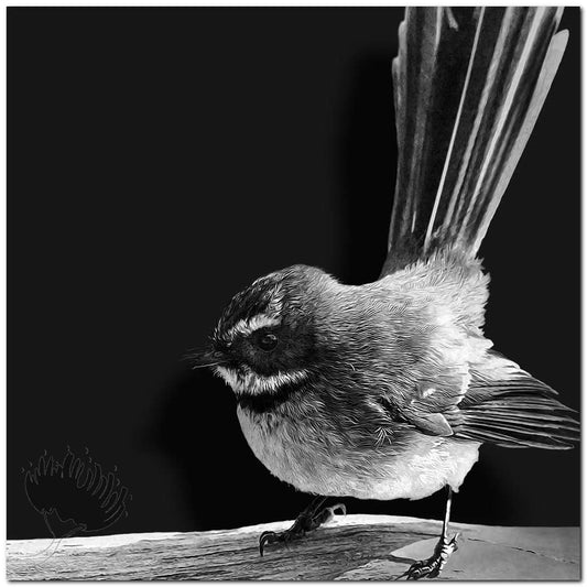 Kirk O’Donoghue Print – Fantail small